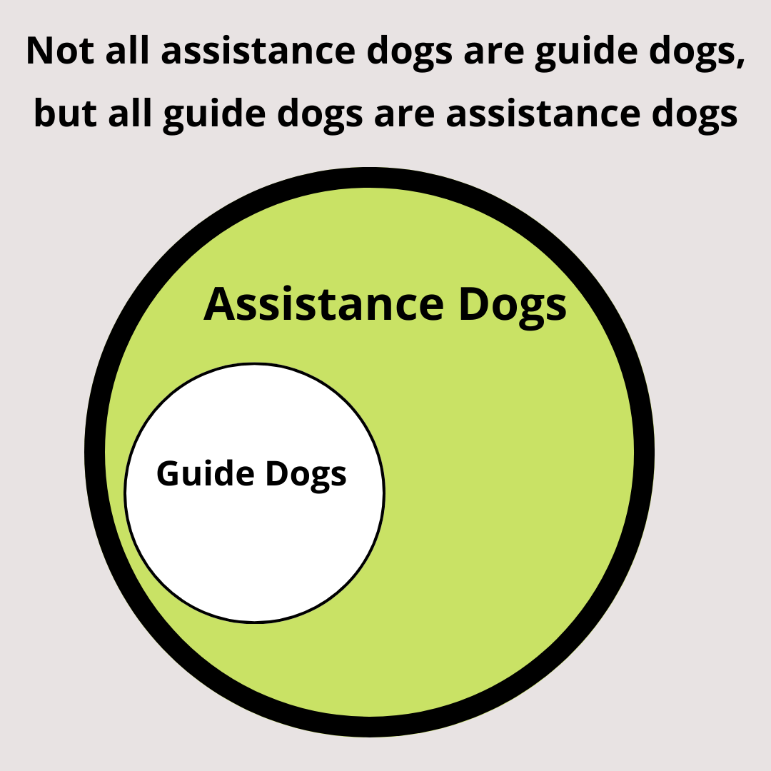 On a light grey-ish background it says 'Not all assistance dogs are guide dogs, but all guide dogs are assistance dogs'. There is a venn diagram with one small white circle which is labelled 'guide dogs' inside a large light green circle labelled 'assistance dogs'